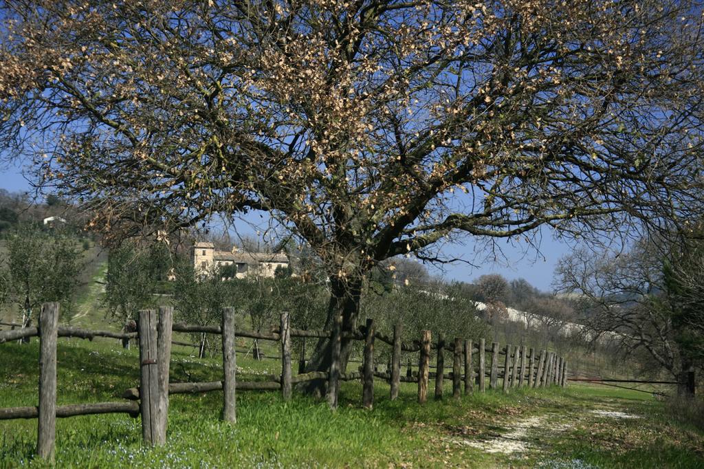 Rustico Del Conero Villa Camerano Luaran gambar